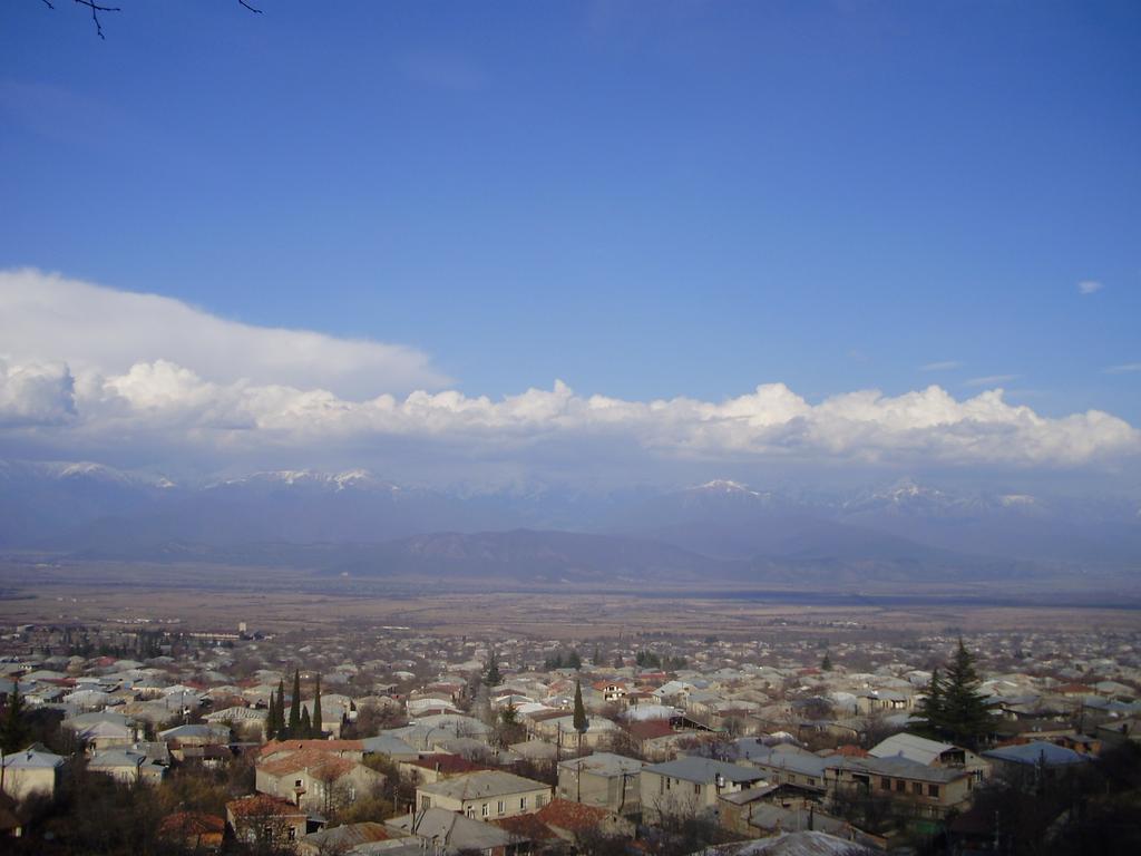 Tlt Guest House Telavi Szoba fotó